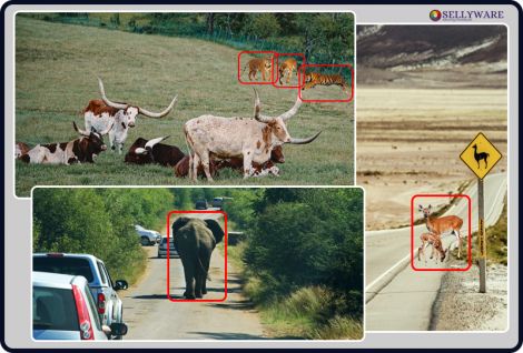 SELLYWARE ANIMAL DETECTION SOFTWARE USING ARTIFICIAL INTELLIGENCE